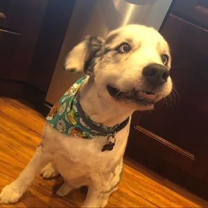 Meet your Posher, Ali